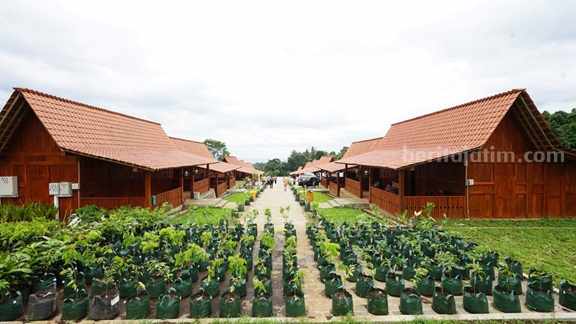foto beritajatim