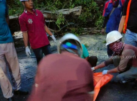 Foto jenazah korban saat dievakuasi usai tertimpa pohon.