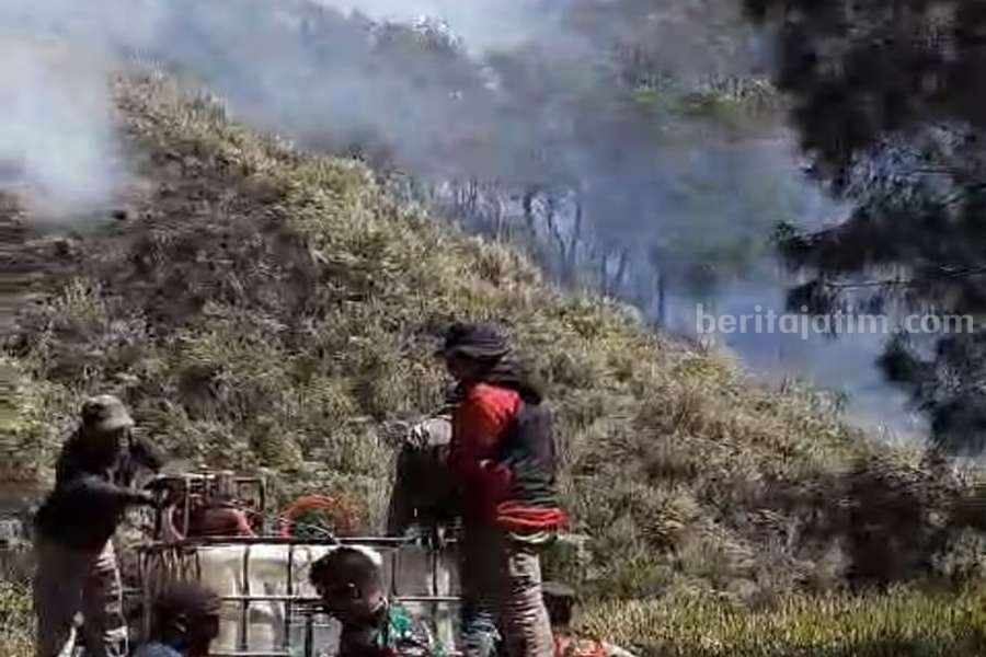 Kebakaran Gunung Batok Bromo Tengger Semeru Padam, Petugas Tetap Waspada