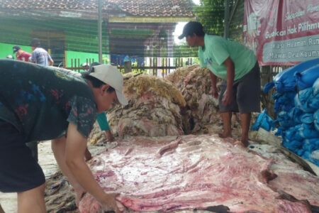 Idul Adha, Pengepul Kulit Hewan Kurban di Bojonegoro Raup Untung