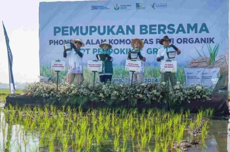 Petrokimia Gresik Dorong Pertanian Organik Lewat Demonstration Farming Foto pemupukan Phonska Alam program Makmur di Ciparay Kabupaten Bandung.