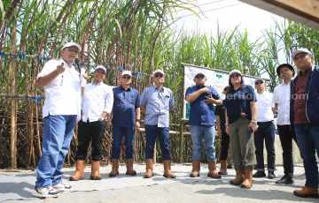 PTPN I Regional 4 Panen Tebu Perdana, Targetkan 8 Ton Gula Per Hektare