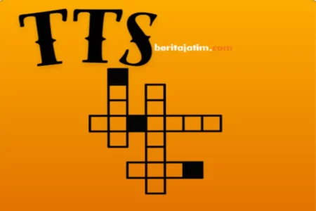 TTS