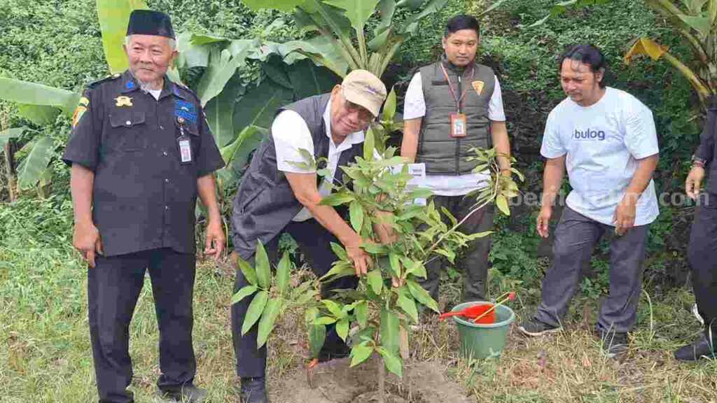 Dirut Perum BULOG, Bayu Krisnamurthi saat melakukan Penanaman Pohon Bulog Hijau di DAS Brantas di Dusun Lespadangan, Desa Terusan, Kecamatan Gedeg, Kabupaten Mojokerto, Minggu (23/6/2024). [Foto : Misti/beritajatim.com]