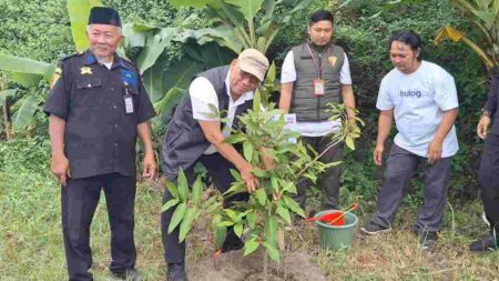 Dirut Perum BULOG, Bayu Krisnamurthi saat melakukan Penanaman Pohon Bulog Hijau di DAS Brantas di Dusun Lespadangan, Desa Terusan, Kecamatan Gedeg, Kabupaten Mojokerto, Minggu (23/6/2024). [Foto : Misti/beritajatim.com]