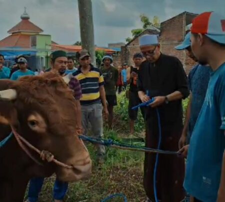 Wabup Jember Gus Firjaun Jadi Algojo, Eksekusi 6 Sapi dan 2 Kambing