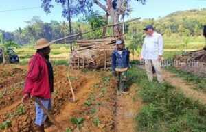 Anggota DPR RI Achmad Baidowi Bagikan 10 Ton Pupuk Bagi Petani di Pamekasan foto beritajatim