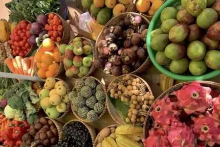 Ilustrasi buah buahan
