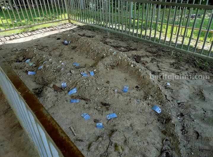 Buaya Tanah dari Malaysia, Warisan Tradisi yang Mulai Tergerus Waktu