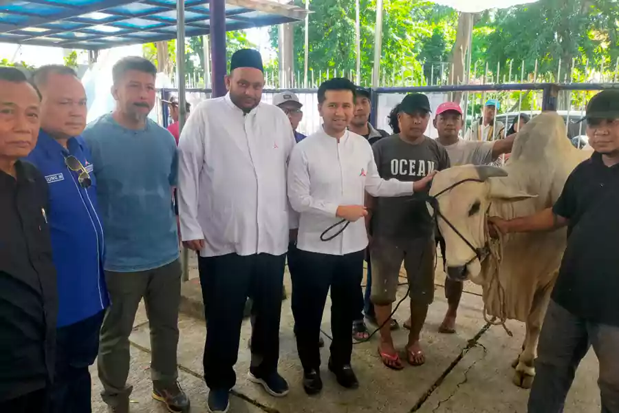Ketua DPD Partai Demokrat Jatim Emil Elestianto Dardak menyerahkan hewan kurban.