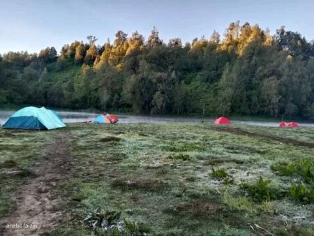 Fenomena frost atau kemunculan embun upas atau salju yang menutup tumbuhan di pagi hari