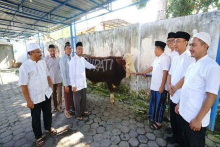Banyuwangi Sebar 60 Hewan Kurban, Tujuannya Bikin Salut Banyuwangi Sebar 60 Hewan Kurban, Tujuannya Bikin Salut