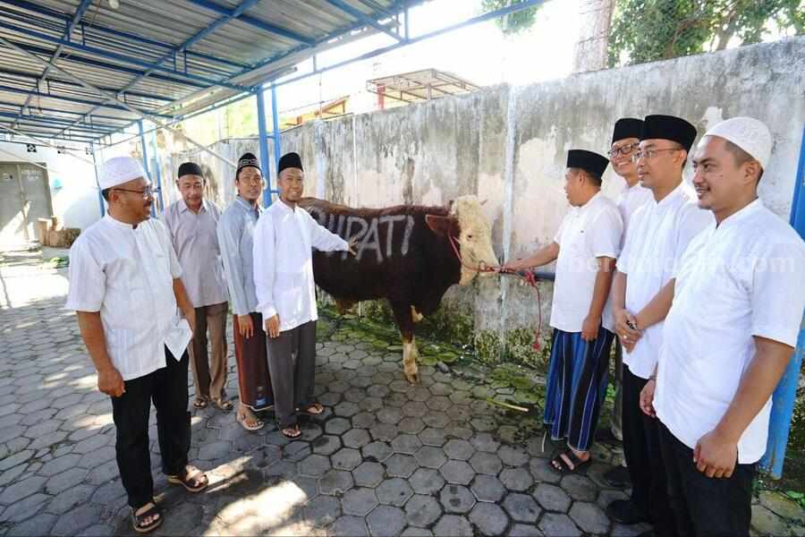 Banyuwangi Sebar 60 Hewan Kurban, Tujuannya Bikin Salut