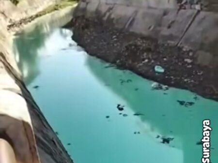 Heboh! Aliran Sungai di Surabaya Berwarna Hijau: Fenomena Sejak 3 Bulan Lalu Heboh! Aliran Sungai di Surabaya Berwarna Hijau: Fenomena Sejak 3 Bulan Lalu