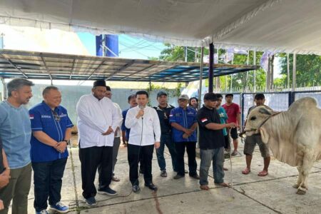 Idul Adha 1445 H, DPD Demokrat Jatim Bagikan Hewan Kurban untuk Warga