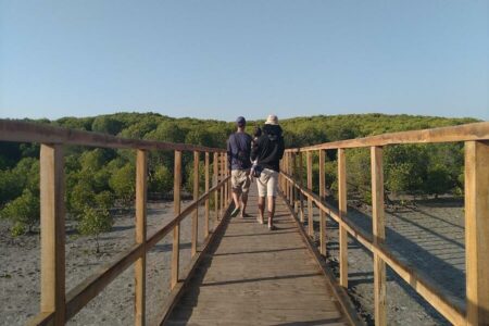 Wisata Mangrove Jatipapak Alas Purwo Banyuwangi, Tempat Healing dan Melarikan Diri Kala Penat Wisata Mangrove Jatipapak Alas Purwo Banyuwangi, Tempat Healing dan Melarikan Diri Kala Penat