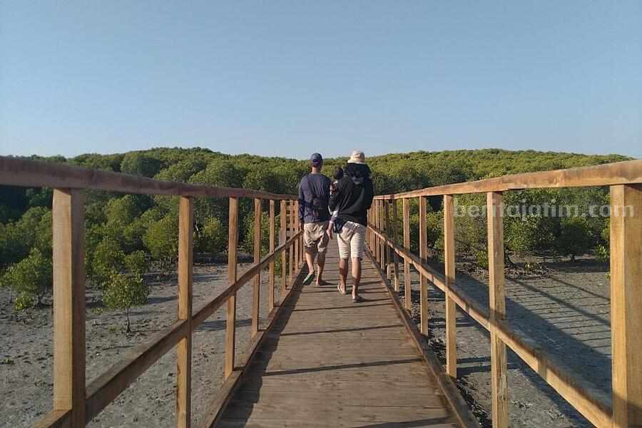 Wisata Mangrove Jatipapak Alas Purwo Banyuwangi, Tempat Healing dan Melarikan Diri Kala Penat