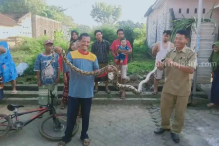 foto beritajatim