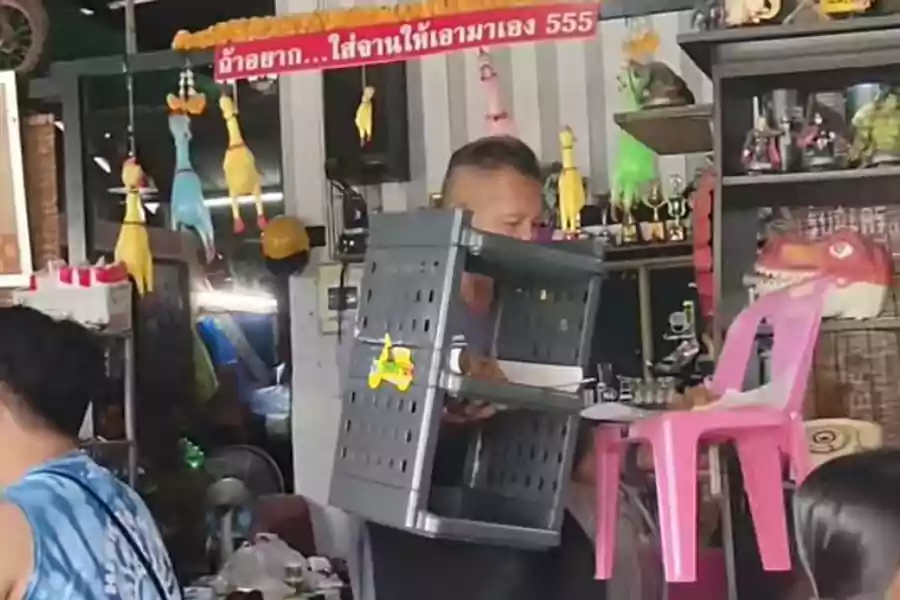 Tangkapan layar video viral resto di Thailand pakai wadah nyeleneh. [Instagram/@asistenliburan]