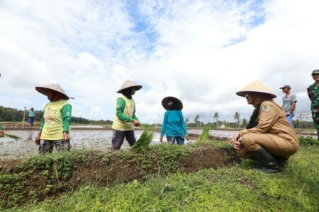 Petani Banyuwangi Sukses Terapkan Pertanian Terpadu
