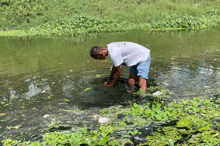 Proses pengambilan sampel air di sungai Tulungagung.
