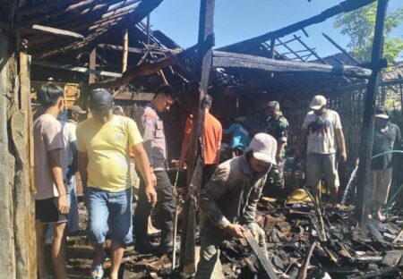 Sapi Bunting Selamat dari Kebakaran di Bondowoso, Luka Bakar 70 Persen