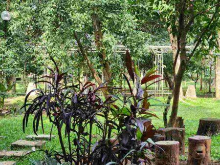 Prakiraan Cuaca Malang dan Kota Batu Pada Rabu 25 Juli 2024 Prakiraan cuaca Malang hari ini (Foto: Dani Alifian)