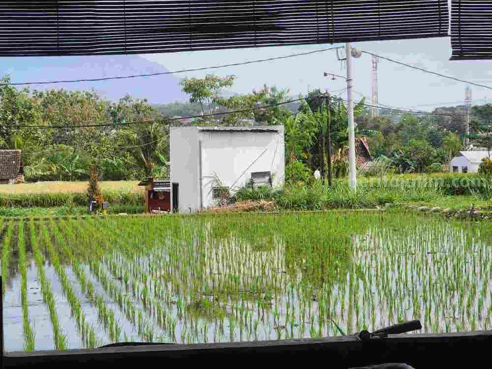 foto beritajatim