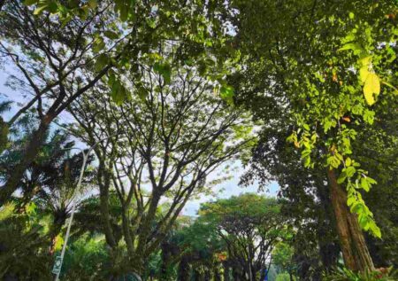 Cuaca Malang Hari Ini Rabu 18 September 2024: Cerah Berawan