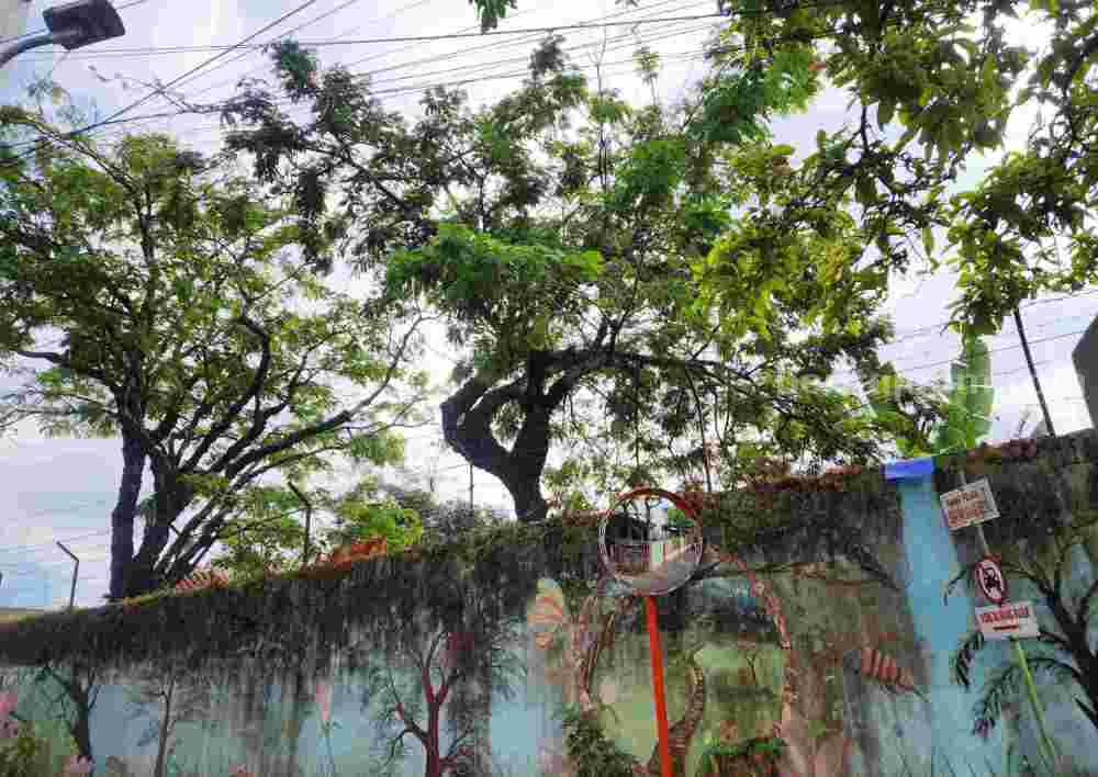 Prakiraan Cuaca Malang dan Kota Batu Kamis 11 Juli 2024
