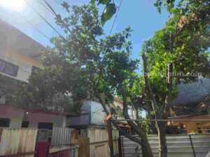 Cuaca Malang hari ini (Foto: Dani Alifian/beritajatim.com)