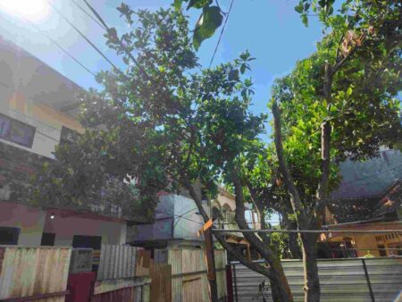 Cuaca Malang hari ini (Foto: Dani Alifian/beritajatim.com)