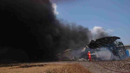 Kandang di Tulungagung Terbakar, 63 Ribu Ekor Ayam Potong Terpanggang Kandang ayam potong di Tulungagung terbakar.