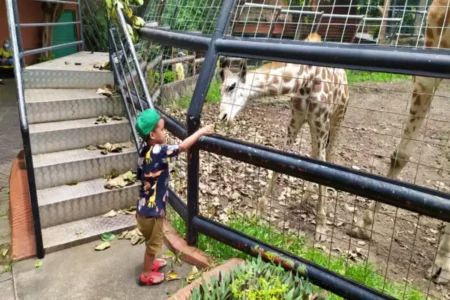 Kondisi Satwa Maharani Zoo Lamongan di Tengah Fenomena ‘Bediding’
