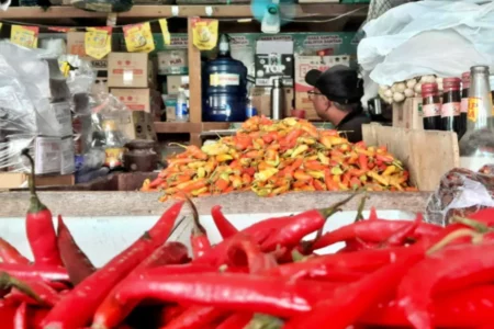 Harga Cabai di Blitar Kian Pedas, Tembus Rp70 Ribu Per Kilogram Harga Cabai