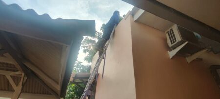 Petugas Damkarla Gresik Berupaya Selamatkan Anak Kucing Kelaparan di Atas Atap foto beritajatim