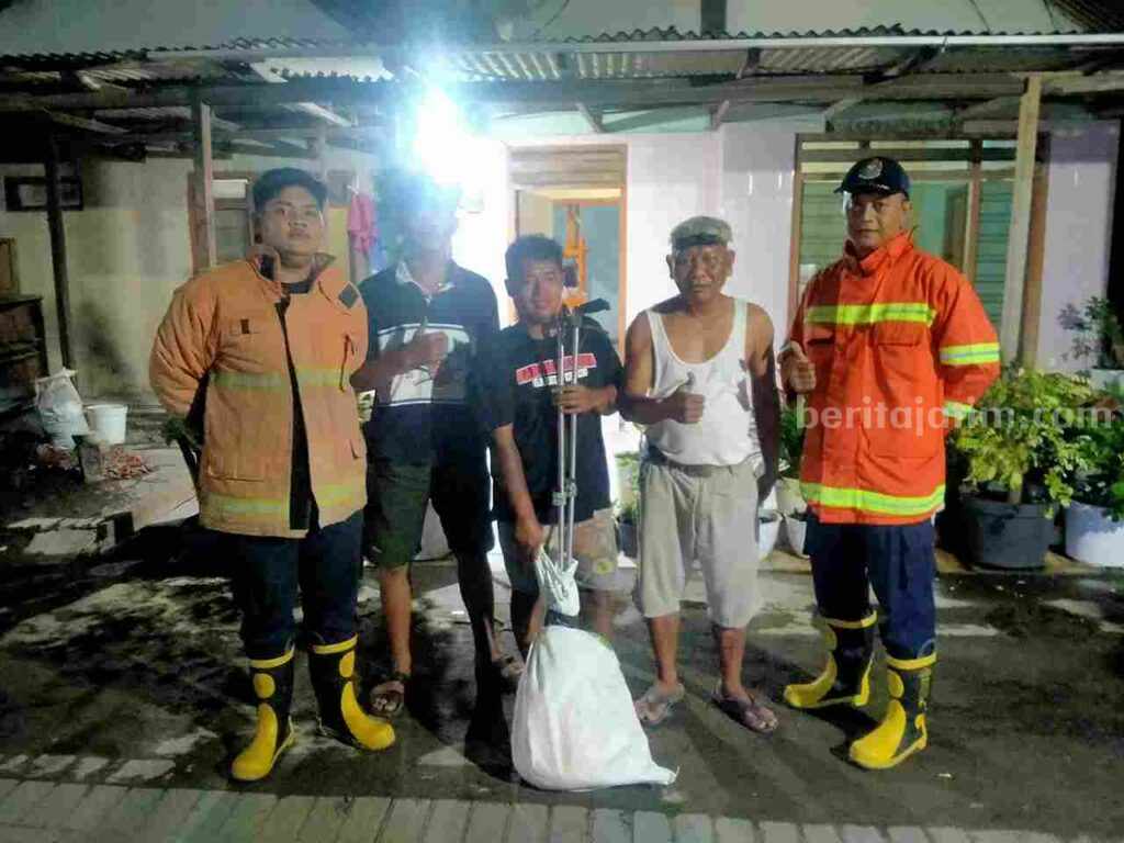 Foto petugas mengevakuasi ular piton yang bersembunyi di atas atap rumah warga.