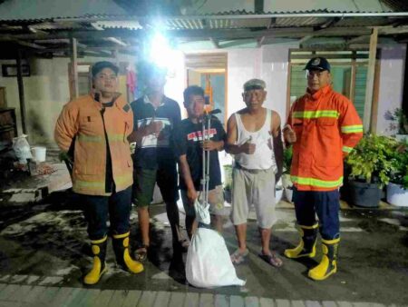 Asyik Menonton Bola, Warga Gresik Dikagetkan Ada Ular Piton di Atap Rumah Foto petugas mengevakuasi ular piton yang bersembunyi di atas atap rumah warga.