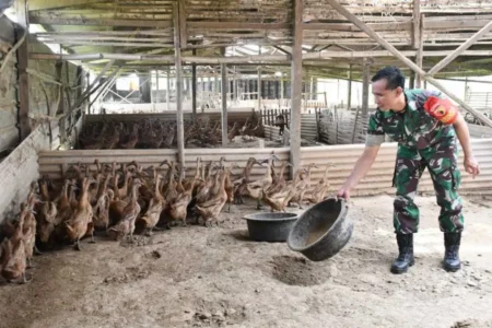 foto beritajatim