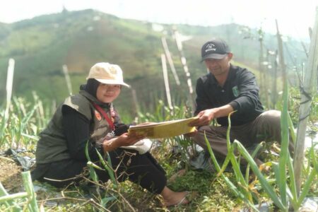 Coklit Capai 85 Persen, Begini Perjuangan Pantarlih Pasuruan