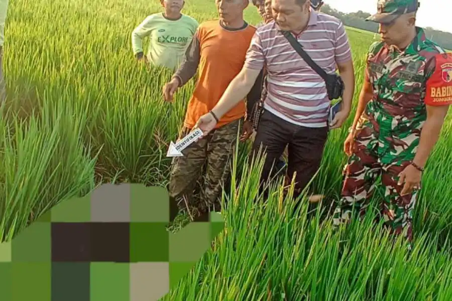 foto beritajatim