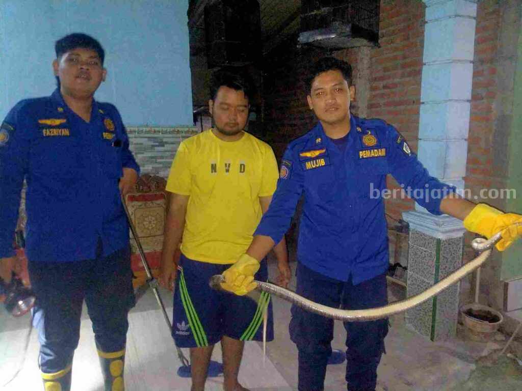 foto beritajatim