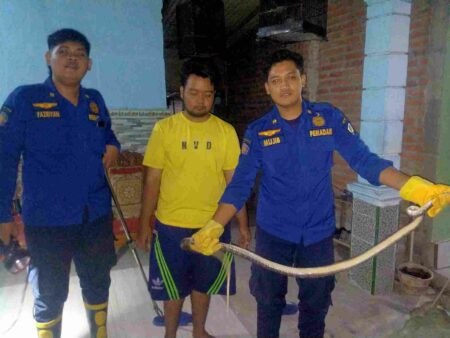 foto beritajatim