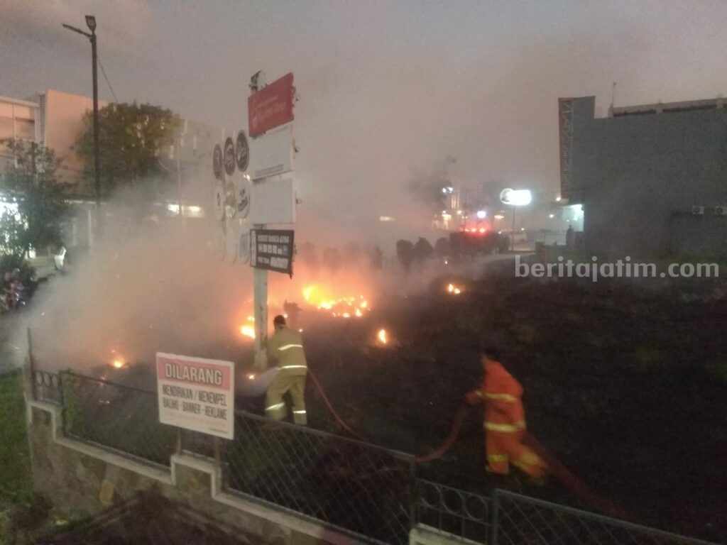 Foto rumput ilalang terbakar akibat membuang puntung rokok sembarangan.
