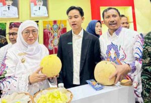 Melon Kangean Jadi Rebutan Pengunjung Apkasi Expo di Jakarta, Apa Istimewanya?