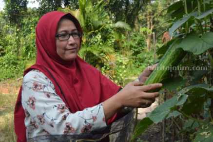 Neng Ani Marlianti, salah satu perempuan yang rajin memanfaatkan pekarangan untuk memenuhi kebutuhan dapur.