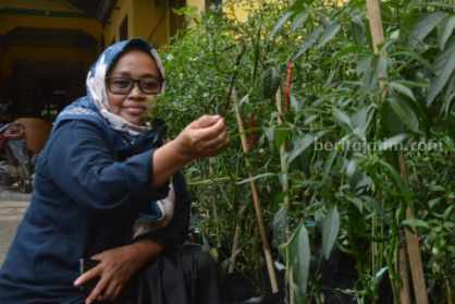 Program Gerakan Perempuan Lestarikan Alam Melalui Konservasi Pinang.