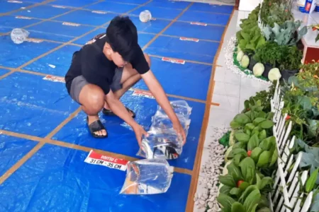 Ratusan Ikan Koi dari Seluruh Indonesia Ikuti Kontes di Blitar