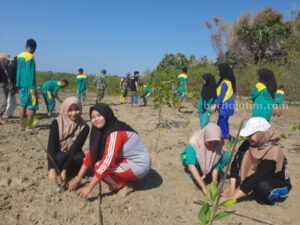 Mahasiswa UTM Tanam Mangrove di Pantai ‘Ekarekong’ Saronggi Sumenep