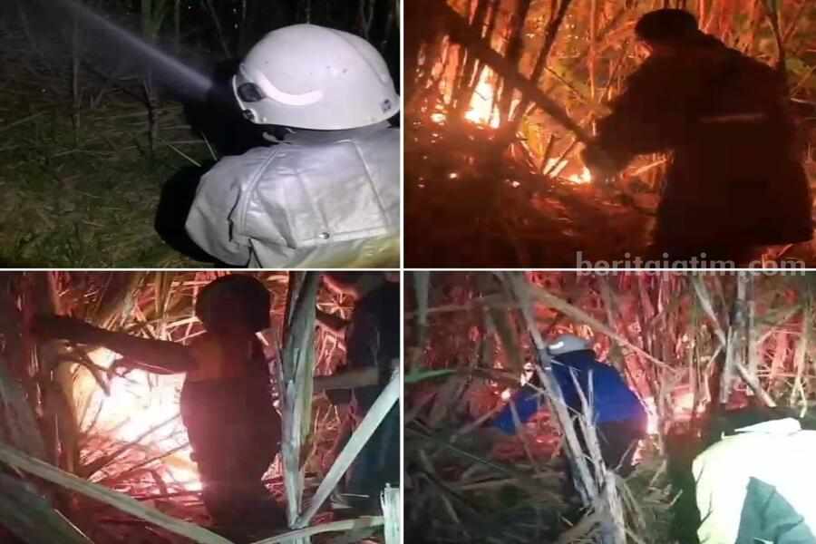 Petugas damkar memadamkan api yang membakar lahan tebu di Desa Taman, Kecamatan Grujugan, Kabupaten Bondowoso, Senin (22/7/2024) dini hari. (Satpol PP dan Damkar Bondowoso)